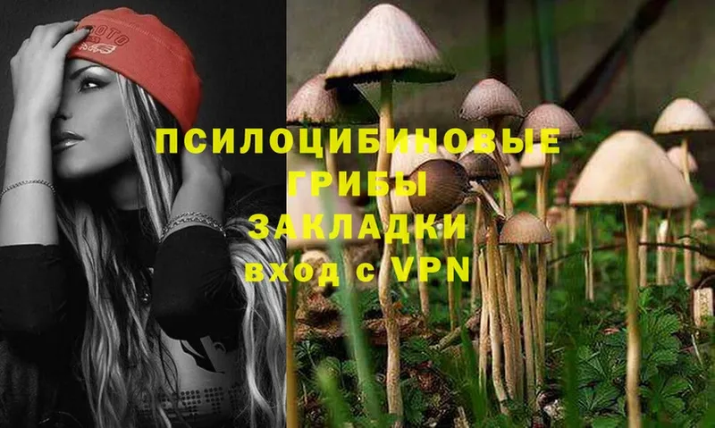 Псилоцибиновые грибы MAGIC MUSHROOMS  omg как зайти  Аксай 